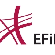 Logo_EFiD_HP Ausschnitt