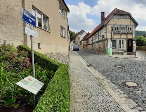 2021_Einweihung Elisabeth-von-Weida-Platz | © Anke Thriller, Koordinatorin Frauenorte Sachsen-Anhalt