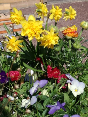 2022_Ostergottesdienst Kloster Memleben Blumen