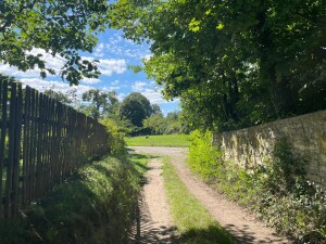 Wanderweg, Wandern | © Simone Kluge