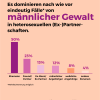 Frauenhaus Statistik | © Frauenhauskoordinierung e.V. (FHK)